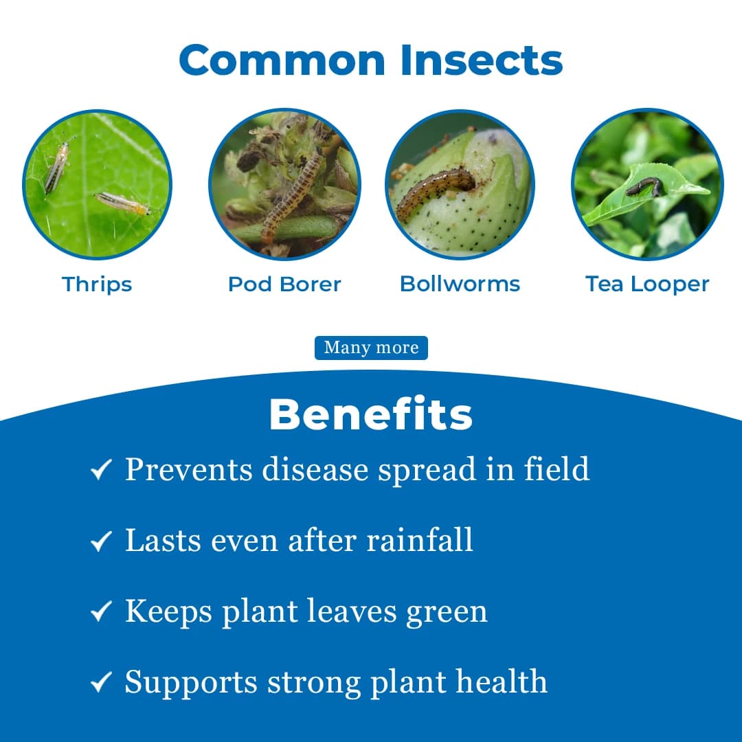 Katyayani Ema5 Insecticide - Image 4