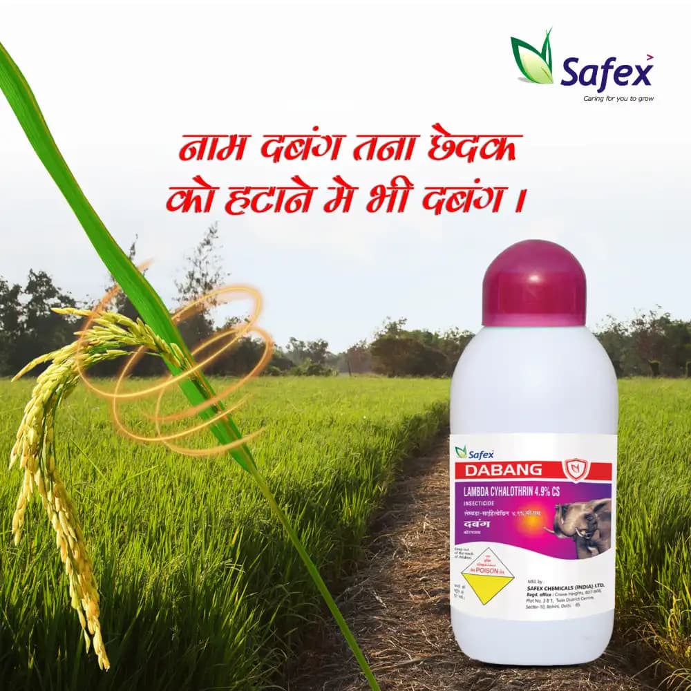 Safex Dabang Insecticide - Image 2