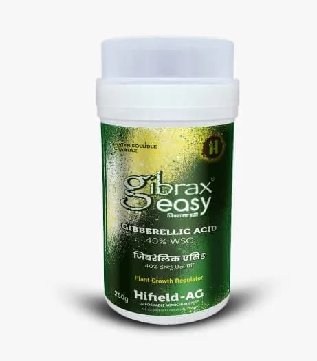 Hifield Gibrax Easy (Gibberellic Acid 40%), Plant Growth Regulator, Water Soluble Granules, For Better Yield In Paddy And Grapes - Image 5