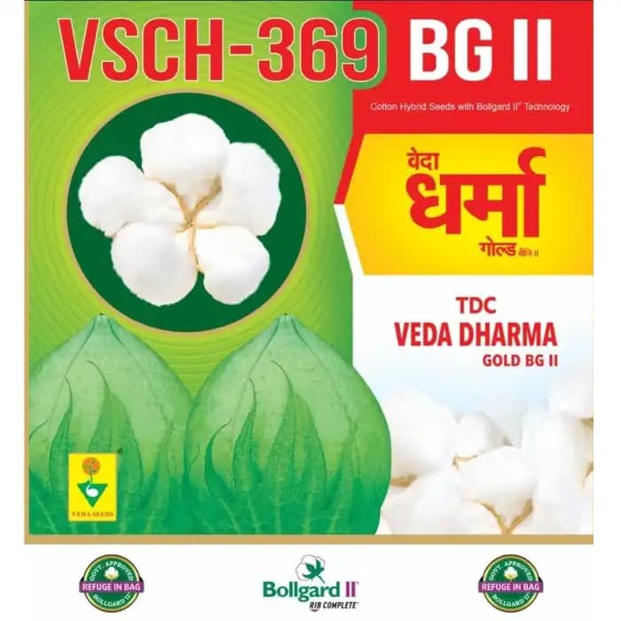 Veda Dharma Gold TDC VSCH-369 BG-II Hybrid Cotton Seeds, Big Boll Size, Medium Duration Crop (475 Gm) - Image 3