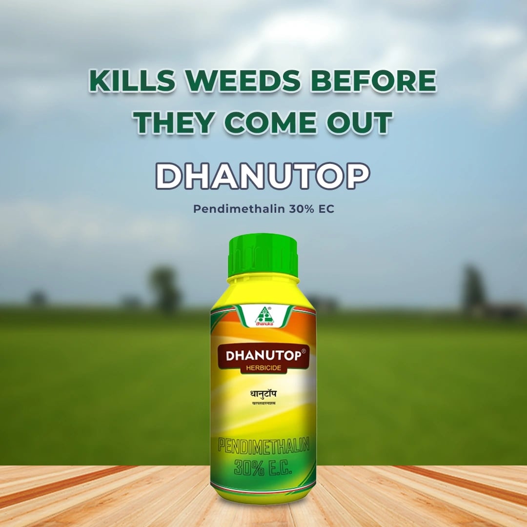 Dhanuka Dhanutop Herbicide (Pendimethalin 30% EC) Selective, Pre Emergence Herbicide For Weed Control in Cotton, Soybean, Wheat & Onion