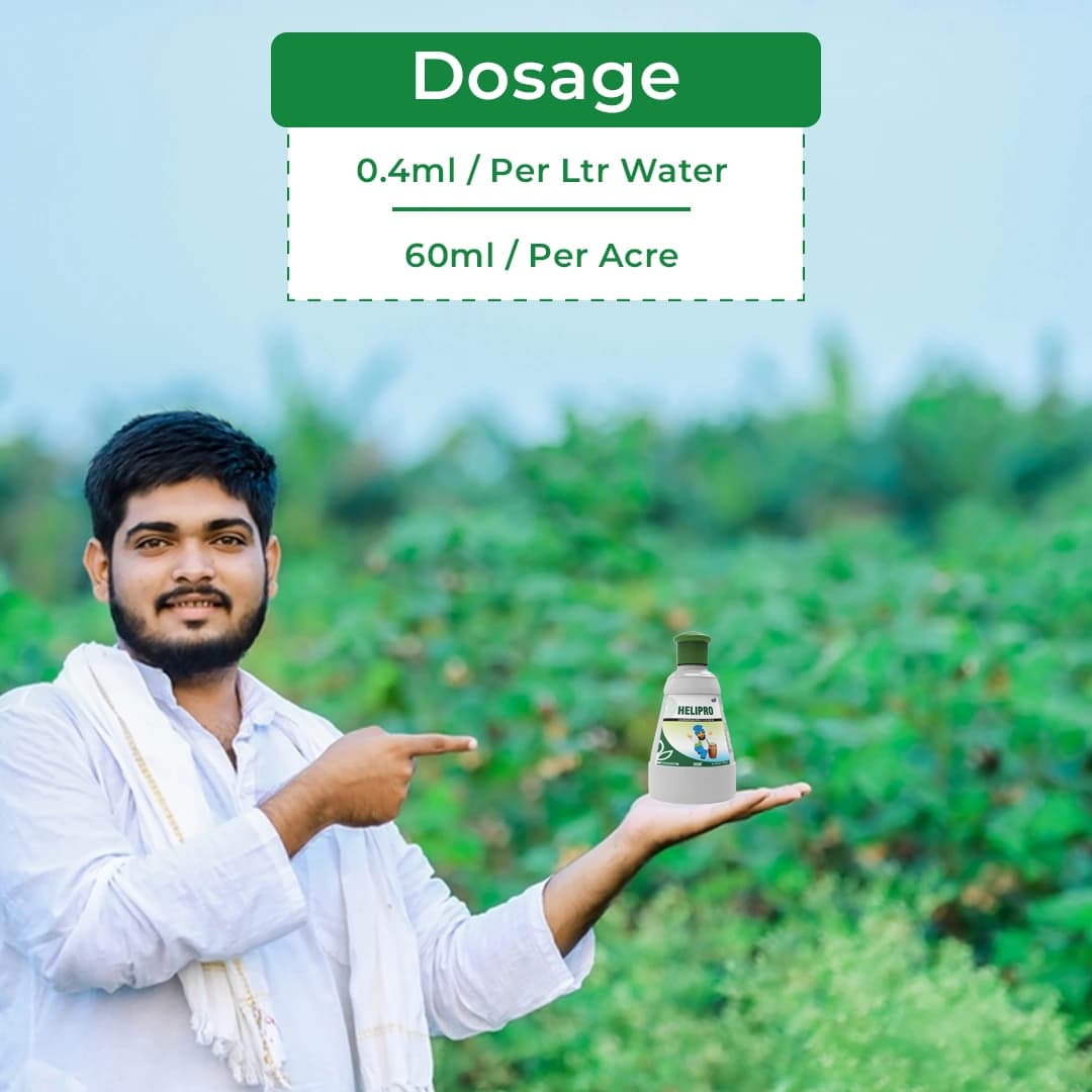 GSP Helipro Insecticide - Image 5