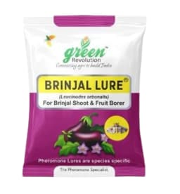 Water Pheromone Trap with Brinjal Lure (Leucinodes Orbonalis) For Brinjal Fruit and Shoot Borer Insect. 1