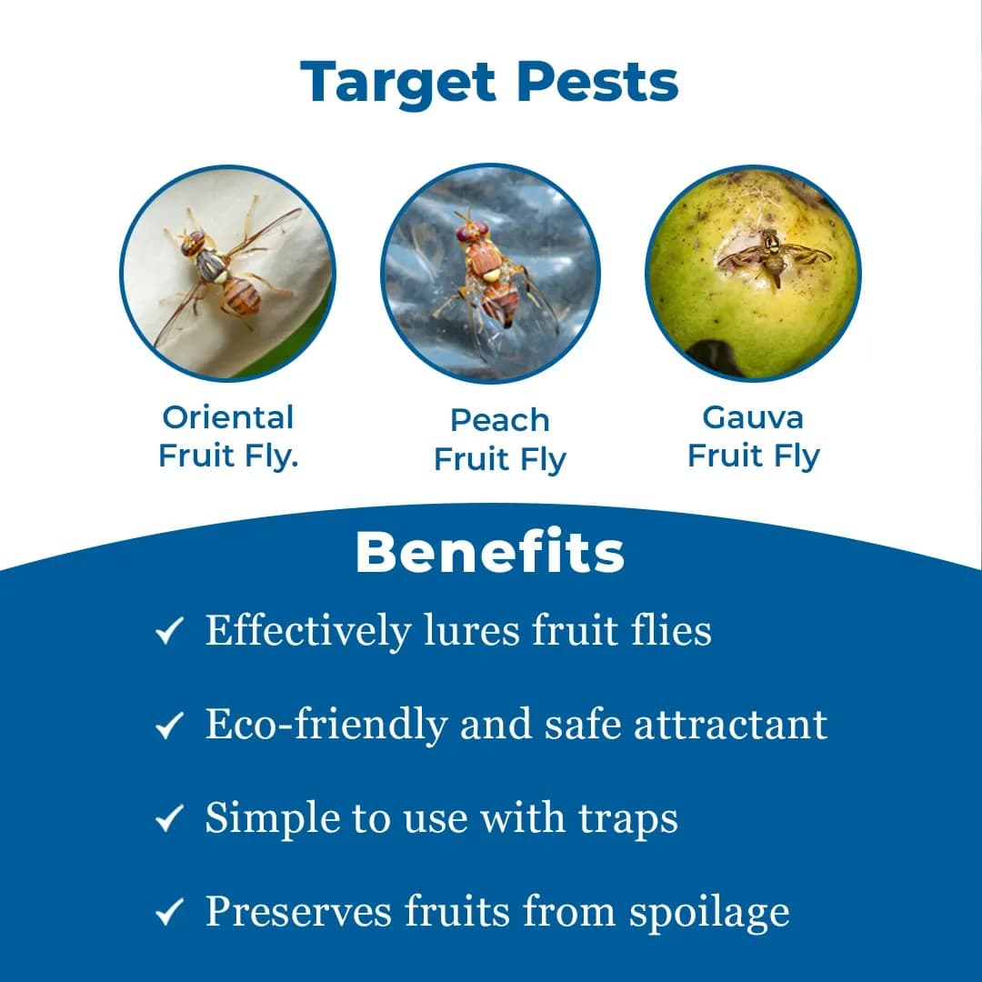 Fruit Fly Trap Attractant Methyl Eugenol Liquid For Bactrocera Dorsalis, Useful For Preparing Traps. - Image 3