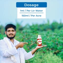 EBS Oscar Thifluzamide 24% SC Systemic Fungicide, Recommended for Sheath Blight in Rice and Black Scruf Disease in Potato 5