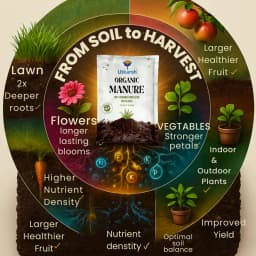 Utkarsh Organic Manure Natural Fertilizer, Promotes Plant Growth And Soil Health 3