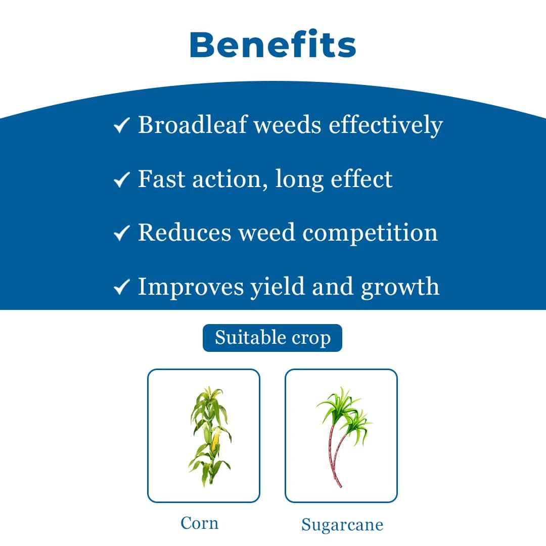 Laudis + Foost Maize Suraksha Combo (57.5ml Laudis & 200ml Laudis Surfactant + Foost 250 gm). A special treatment to control weeds in maize. - Image 4