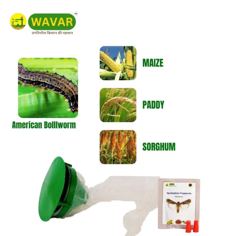 WAVAR Funnel Trap with Helicoverpa Armigera Lure, Effective For American Bollworm, Long Lasting Field Use - Image 3