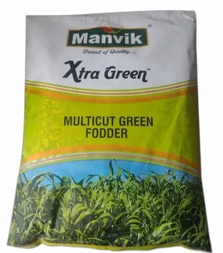 Manvik Xtra Green, Multi Cut Green Fodder, Sorghum Seeds, Multi-Cut High Nutitive Fodder - Image 1