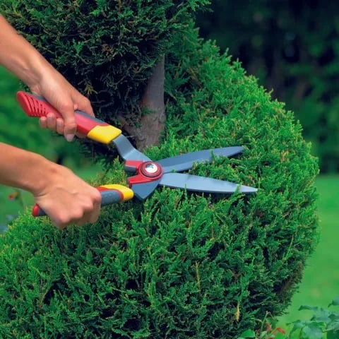 Wolf Garten Hedge Shears (HS-B), Specially Designed To Be Used On Box Trees And Other Topiary Plants