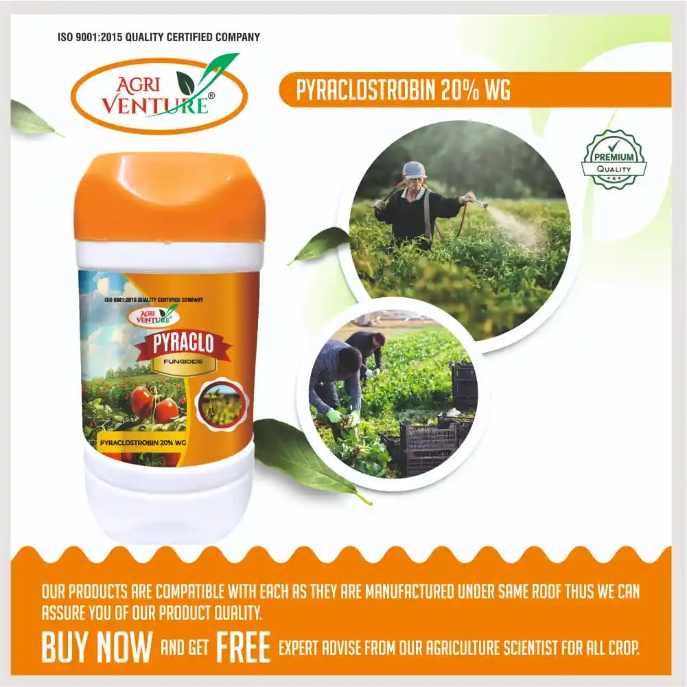 Agriventure PYRACLO Pyraclostrobin 20% WG, Broad-Spectrum Systemic Fungicide For Multiple Crops - Image 5