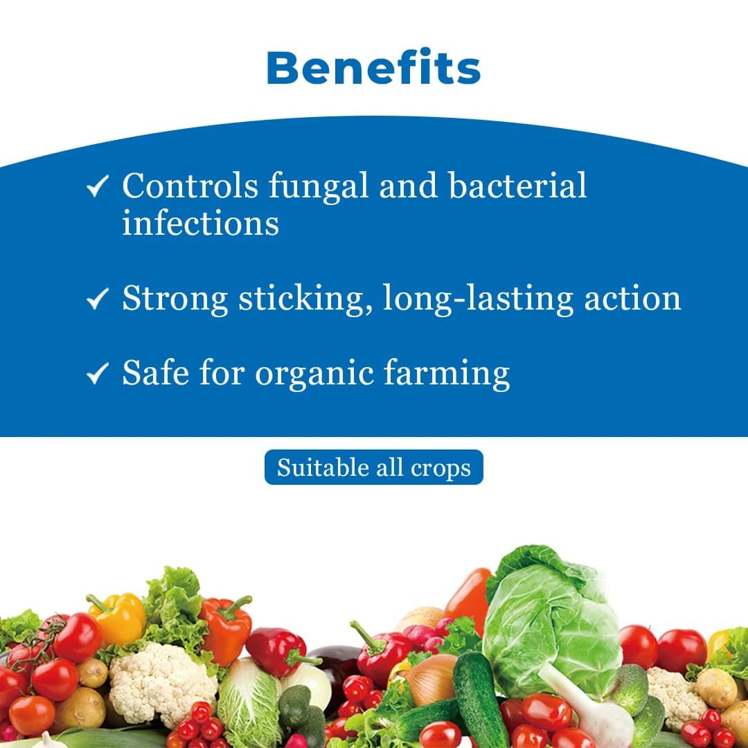 Adama Mastercop Copper Sulfate Pentahydrate 23.99% Fungicide, Release Of Copper Ions For Faster Activity On Pathogens Present On The Leaves - Image 4