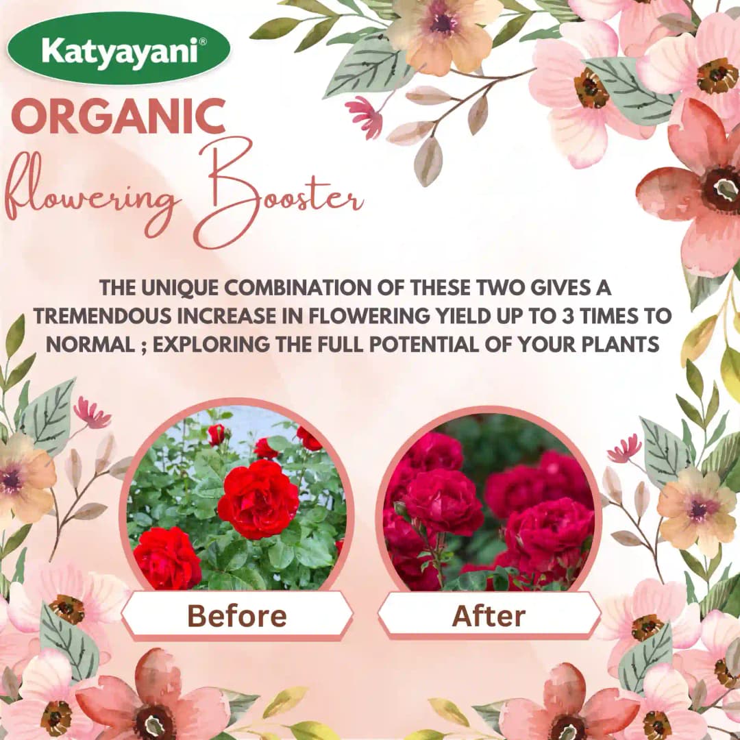 Katyayani Flowering Fertilizer Booster for All Flowering Plants Roses, Orchids, Hibiscus, Jasmine, etc with Mix Micro Nutrient Super for Home Garden - Image 3
