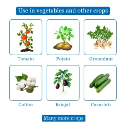 Tejas Super Insecticide - Chlorpyriphos 50% + Cypermethrin 5% EC 4