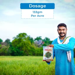 Dinopy Insecticide - Dinotefuran 15% + Pymetrozine 45% WG 5