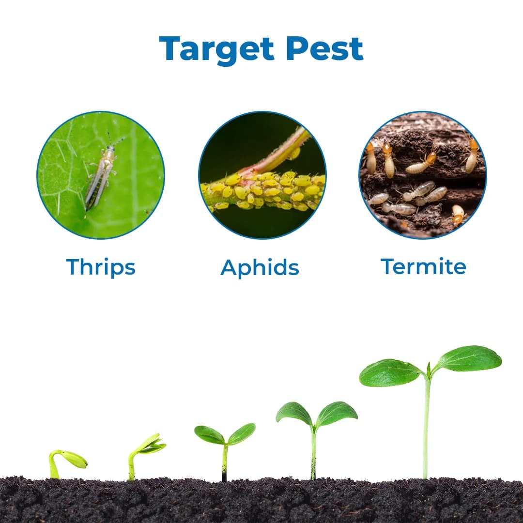 बीएसीएफ एस्टोक - एथियन 50% ईसी. फफूंदनाशक, थ्रिप्स, माहूँ, पोस्ट और निर्माण पूर्व दीमक उपचार के विरुद्ध प्रभावी. - Image 3