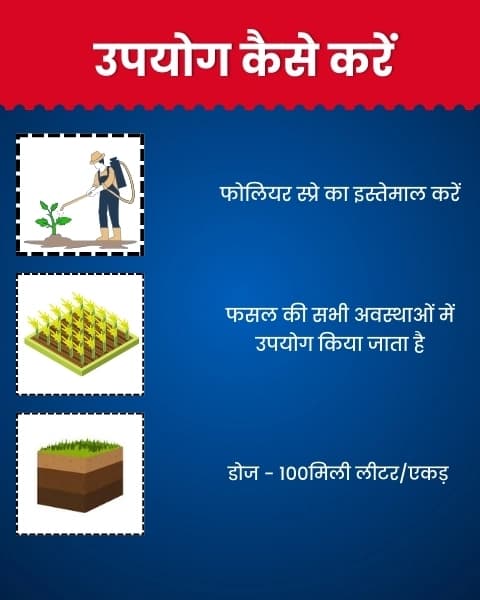 Katyayani Bloom Booster Homobrassinolide 0.04% Plant Growth Regulator, Use for Cotton, Brinjal, Chili, Banana, Cabbage, Cauliflower, Vegetables, Fruit - Image 6