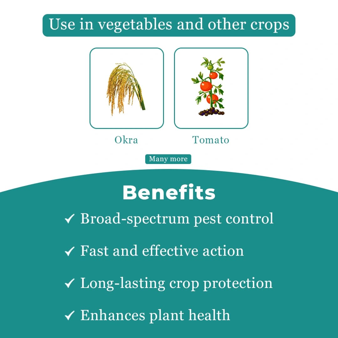 FMC Corprima Insecticide Chlorantraniliprole 35% WDG , Important Lepidopteran Pests In Tomato & Okra Crops - Image 4