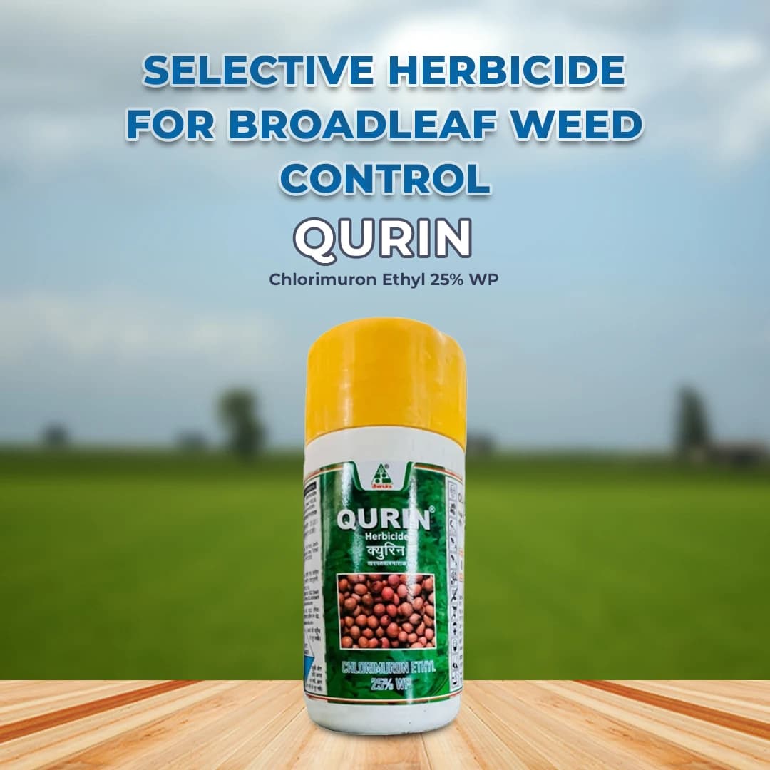 Dhanuka Qurin Herbicide - Chlorimuron Ethyl 25% WP - Image 2