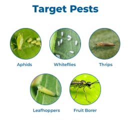 ईबीएस प्रमाण - प्रोफेनोफॉस 50% ईसी. कीटनाशक, एक ऐसा फार्मूला जिसमें सक्रिय घटक के रूप में प्रोफेनोफॉस शामिल है. 3