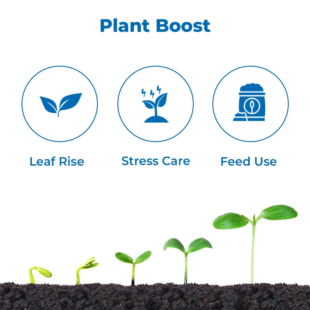 आनंद सी रूबी (तरल) - हरा समुद्री शैवाल अर्क, प्राकृतिक N.P.K प्रदान करता है, जड़ों और कलियों के विकास को सुधारता है। - Image 3
