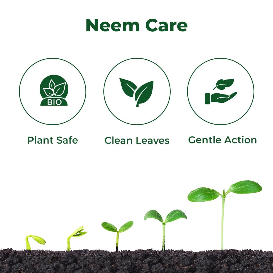 EBS Neem Oil - Image 3