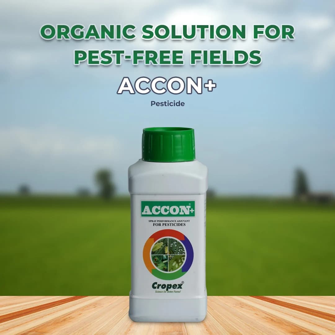 Accon+ Spray Performance Adjuvant For Pesticide, Bactericide, Virucide, and Fungicide Spray - Image 2