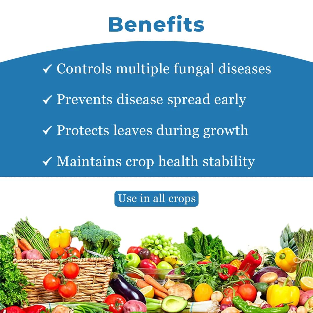 Exylon Catalyst Fungicide - Carbendazim 12% + Mancozeb 63% WP - Image 4