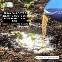 Vikalp Soil Carbon Booster, Humic Acid Liquid Soil Application Fertilizer, 10% Humic Acid, 5% Amino Acid, 3% Seaweed Extract, and 1% Plant Extract 10