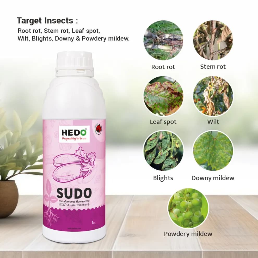 HEDO Sudo (Pseudomonas Fluorescence) Liquid Bio Fungicide, Effective Against A Wide Range Of Soil, Seed, And Air Borne Plant Diseases - Image 2