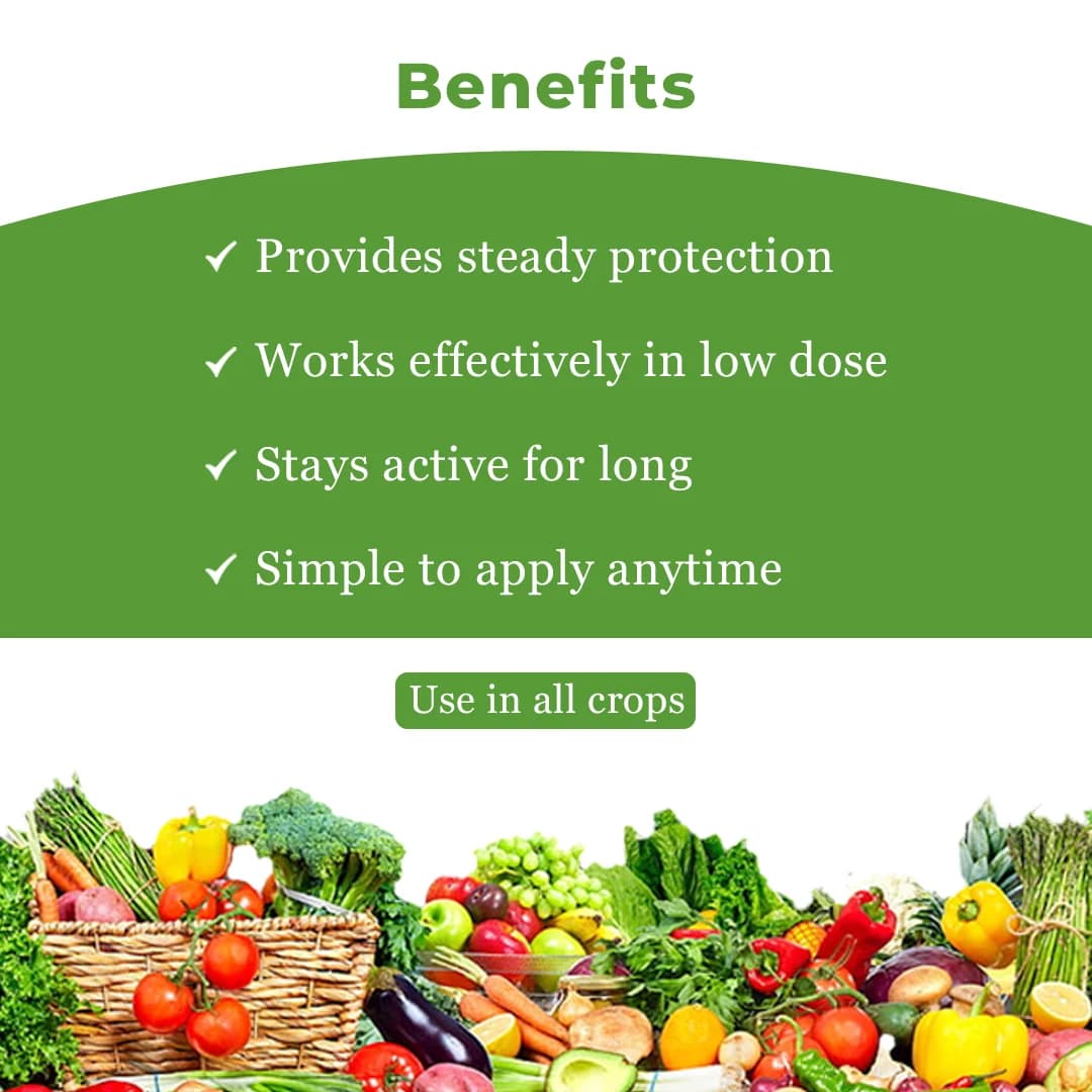 Agriventure WHITE RIDER (Acetamiprid 20% Sp) Insecticide, Used For The Control Of Sucking Pests Like White Fly, Aphid And Jassids - Image 4