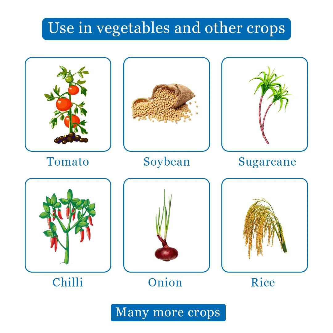 Agriventure Tebsulph ( Tebuconazol 10% + Sulphur 65% WG ) Fungicide, Water Dispersible Granule - Image 4