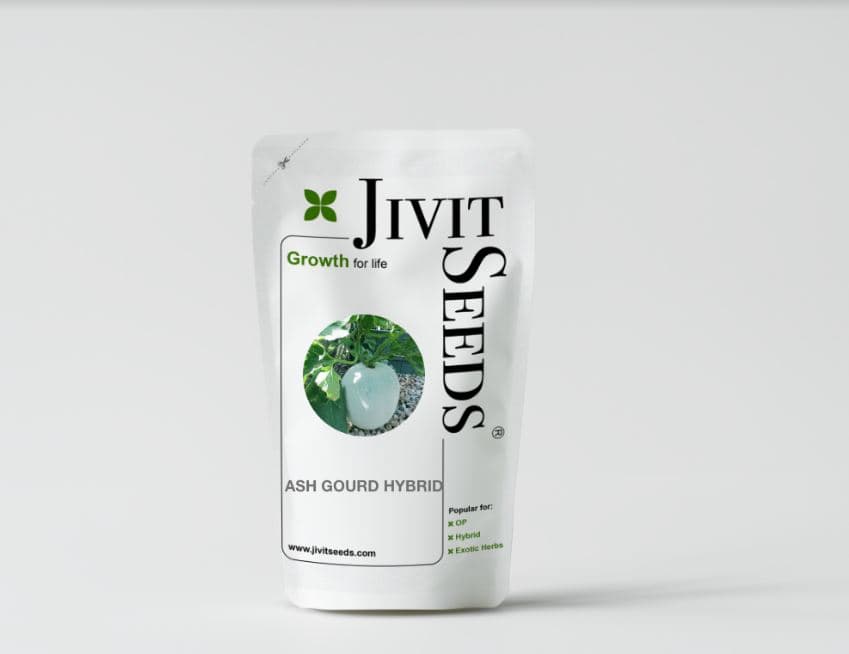 Jivit JS 301 Imported Hybrid Ash Gourd Seeds, Warm Season Crop, Sensitive To Frost, Suitable In North and South. - Image 3