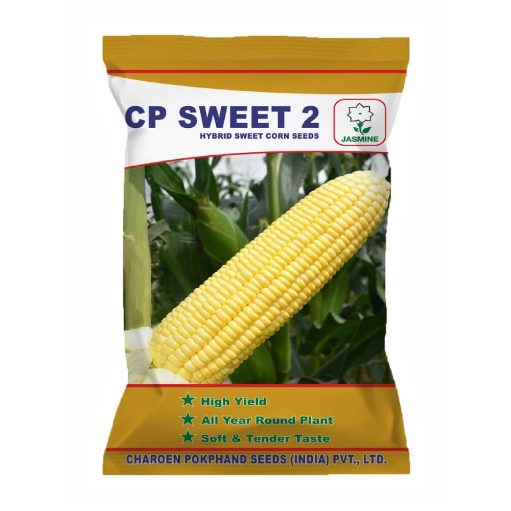 Sweet Corn CP Sweet 2 Hybrid - CP Seeds, Makka ke Beej, Field Crops, Excellent Germination Quality - Image 1