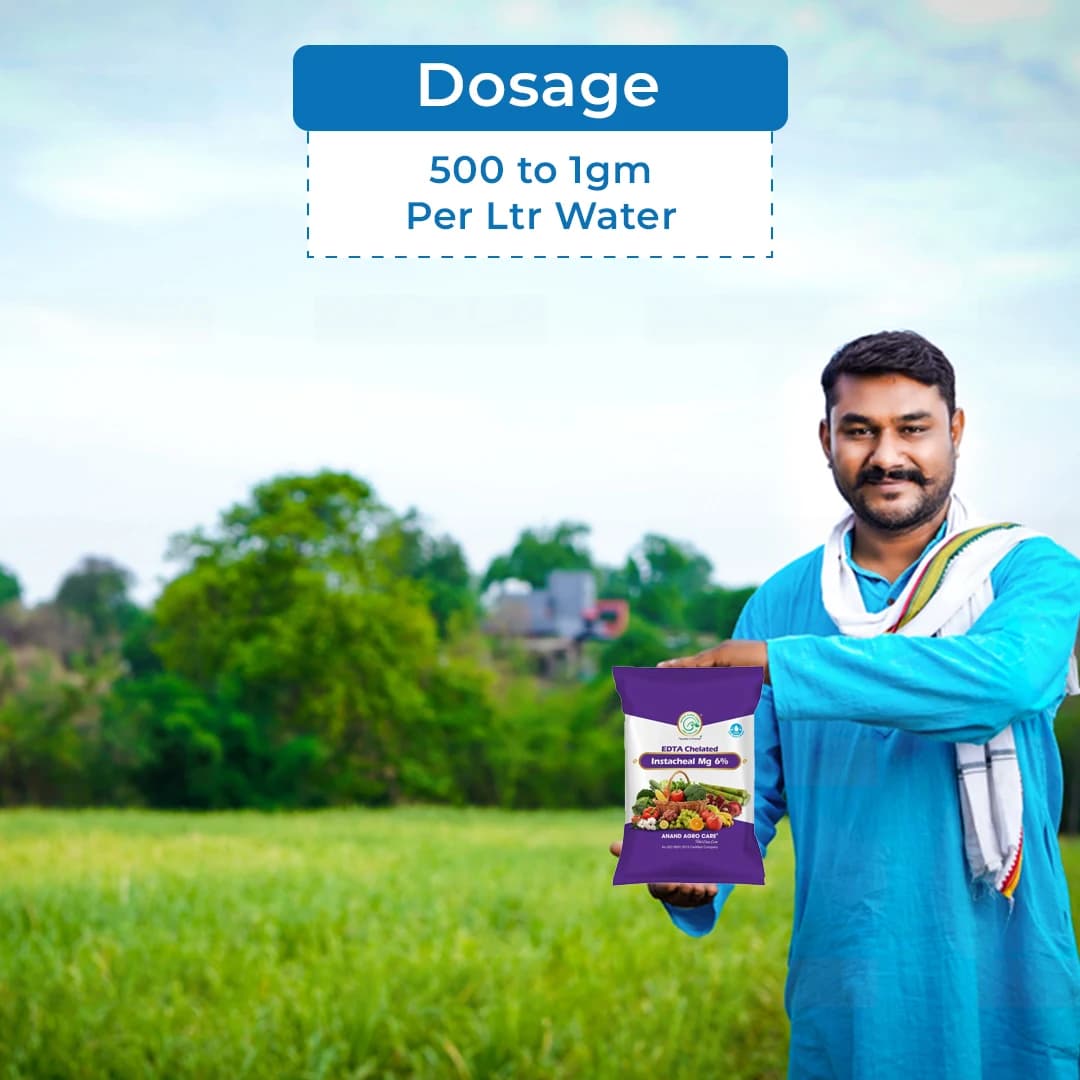 Instacheal Mg 6%, EDTA Chelated Magnesium 6%, Water Soluble, Plant Nutrition, Best For All Crops - Image 5