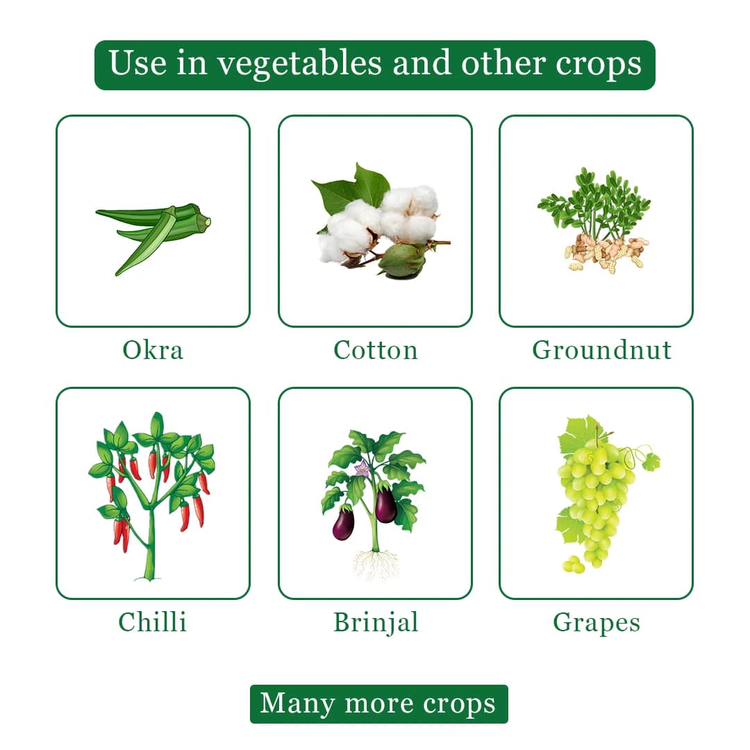 Exylon Impactor Insecticide - Image 5