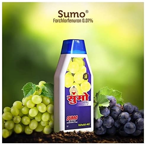 Hifield Sumo Forchlorfenuron 0.01% Plant Growth Regulator, Use for Grapes and Berries - Image 3