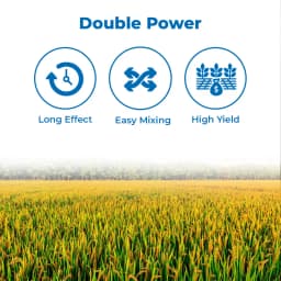 Bayer Council Active Triafamone 20% + Ethoxysulfuron 10% WG, Latest Post Emergent Rice Herbicide. 3