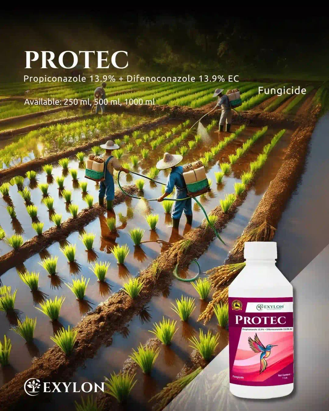 Exylon Protec Propiconazole 13.9% + Difenoconazole 13.9% EC Fungicide, Controls Fungal Disease In Crops - Image 2