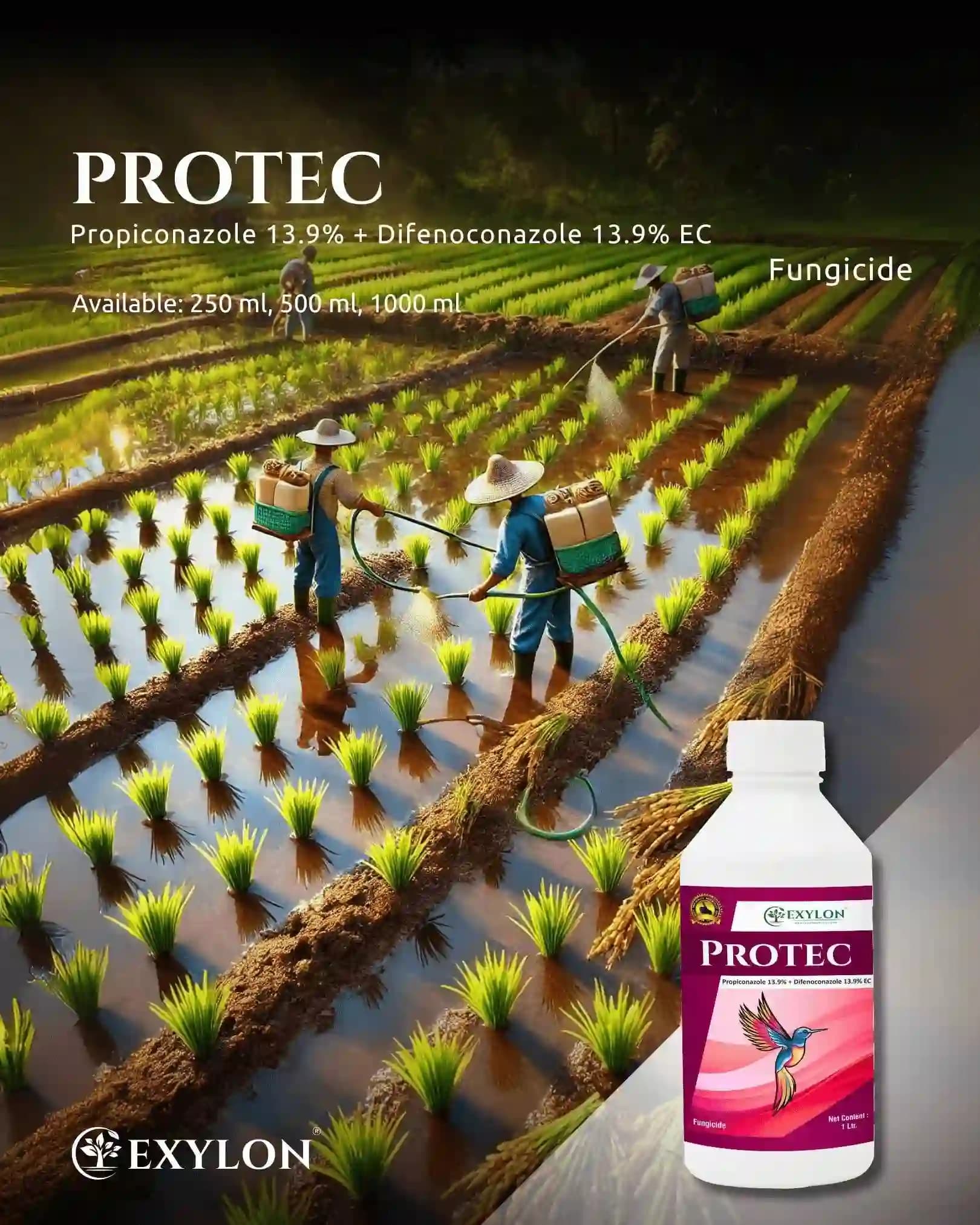 Exylon Protec Fungicide - Propiconazole 13.9% + Difenoconazole 13.9% EC - Image 6