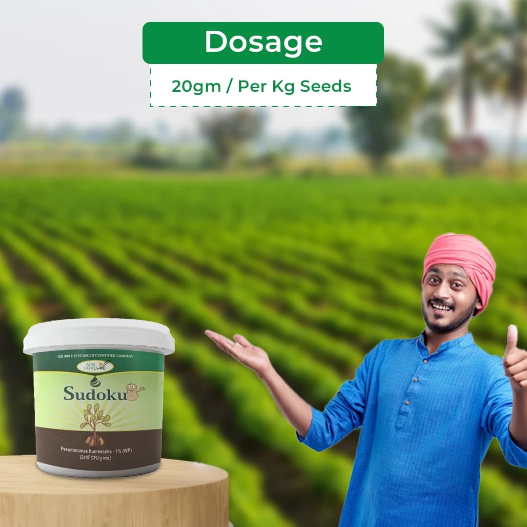 Agriventure Sudoku (Pseudomonas Flurescens 1% Wp) Promote Plant Growth And Health By Suppressing Soil Borne Diseases - Image 5