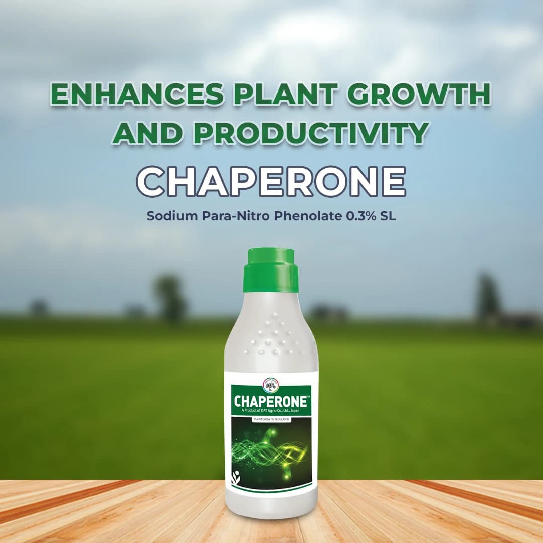 IIL CHAPERONE Sodium Para Nitro Phenolate 0.3% SL Plant Growth Promoter, Enhances Crop Growth - Image 2