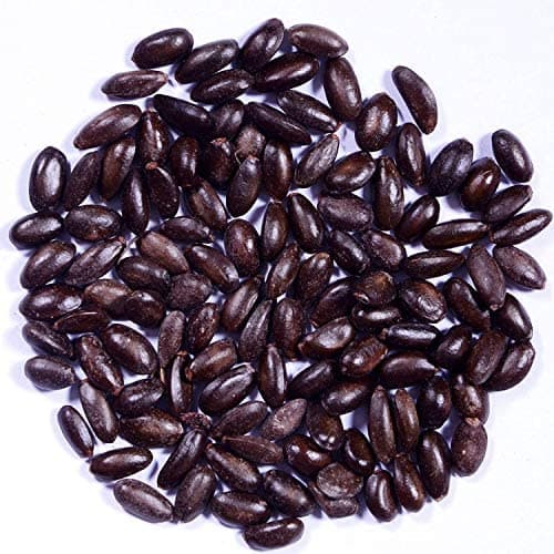 SRI SAI FORESTRY Custard Apple Seeds, Sitafal Ke Beej, Sugar Apple Seeds, Sweetsop Seeds, Annona squamosa Fruit Tree Seeds - Image 4