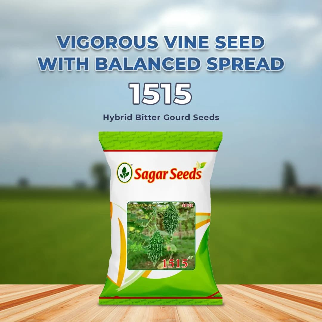 Sagar 1515 Hybrid Bitter Gourd Seeds, Dark Green and Uniform Fruits, High Yield Variety Seeds - Image 2