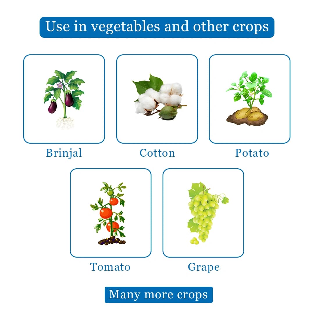 BACF Anton Fungicide - Image 4