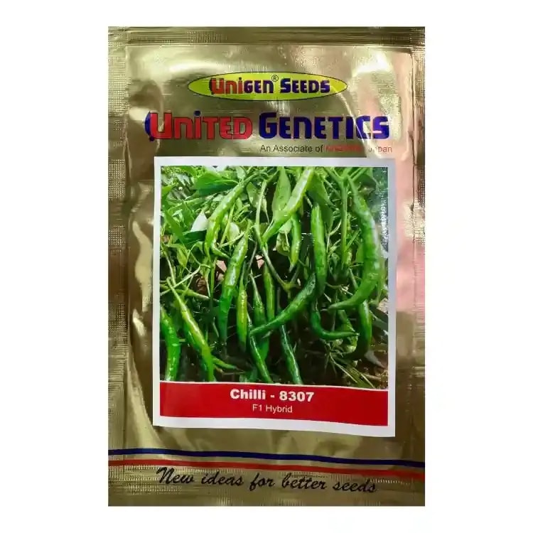 United Genetics Chilli-8307 Chilli Seeds - (Mirchi Seeds) For Fresh Market And Processing Purpose, High Pungent