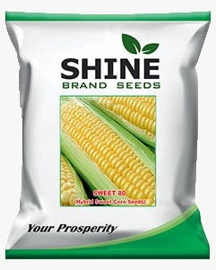 Sweet Corn Sweet 80 - Shine Brand Seeds, Makka Ke Beej, Field Crops, Excellent Germination Quality