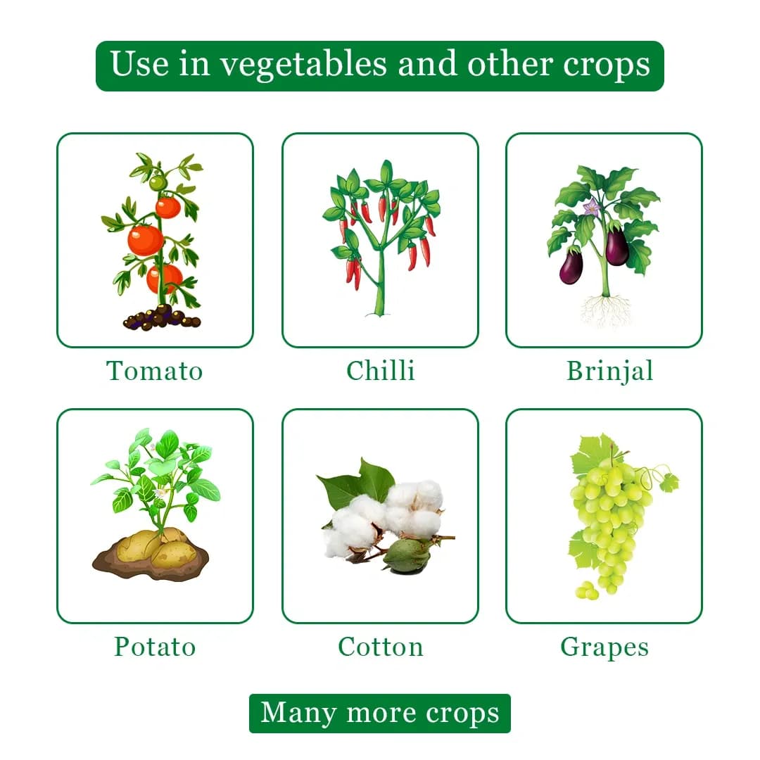 EBS Custom Fungicide - Image 4