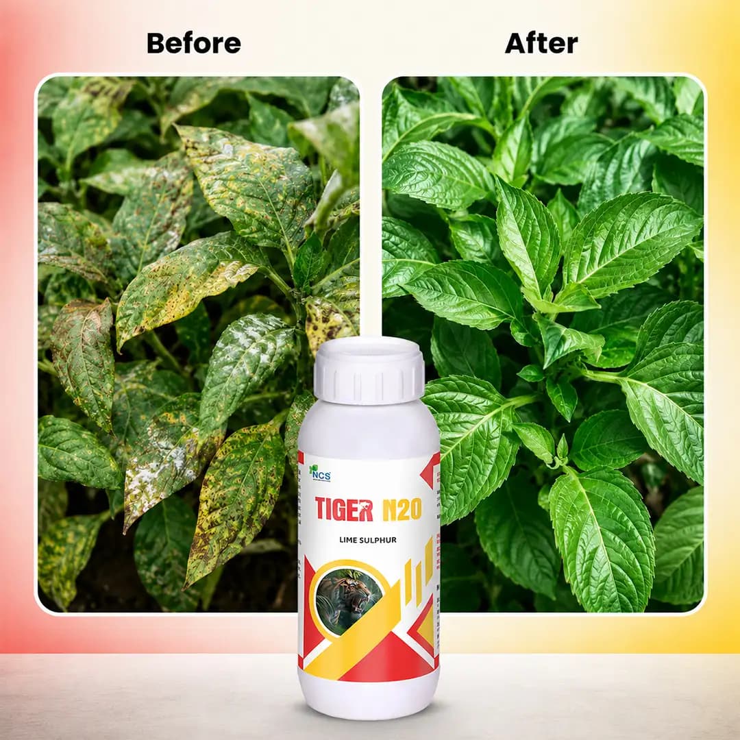 Tiger N20 - Lime Sulphur Fungicide - Image 6