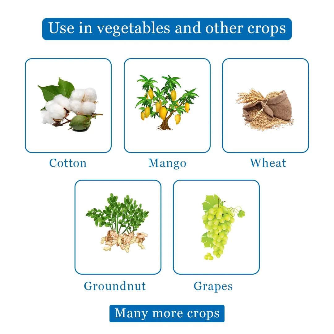 EBS Metman Fungicide - Image 4